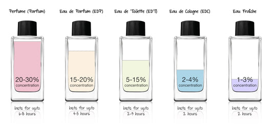 EDP vs EDT — What's the Difference & Which Should You Buy?