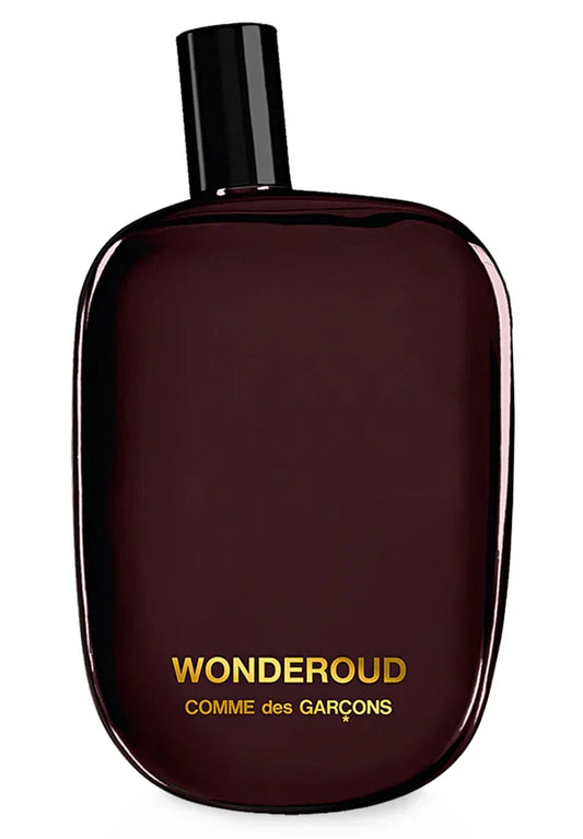 Wonderoud Comme des Garcons