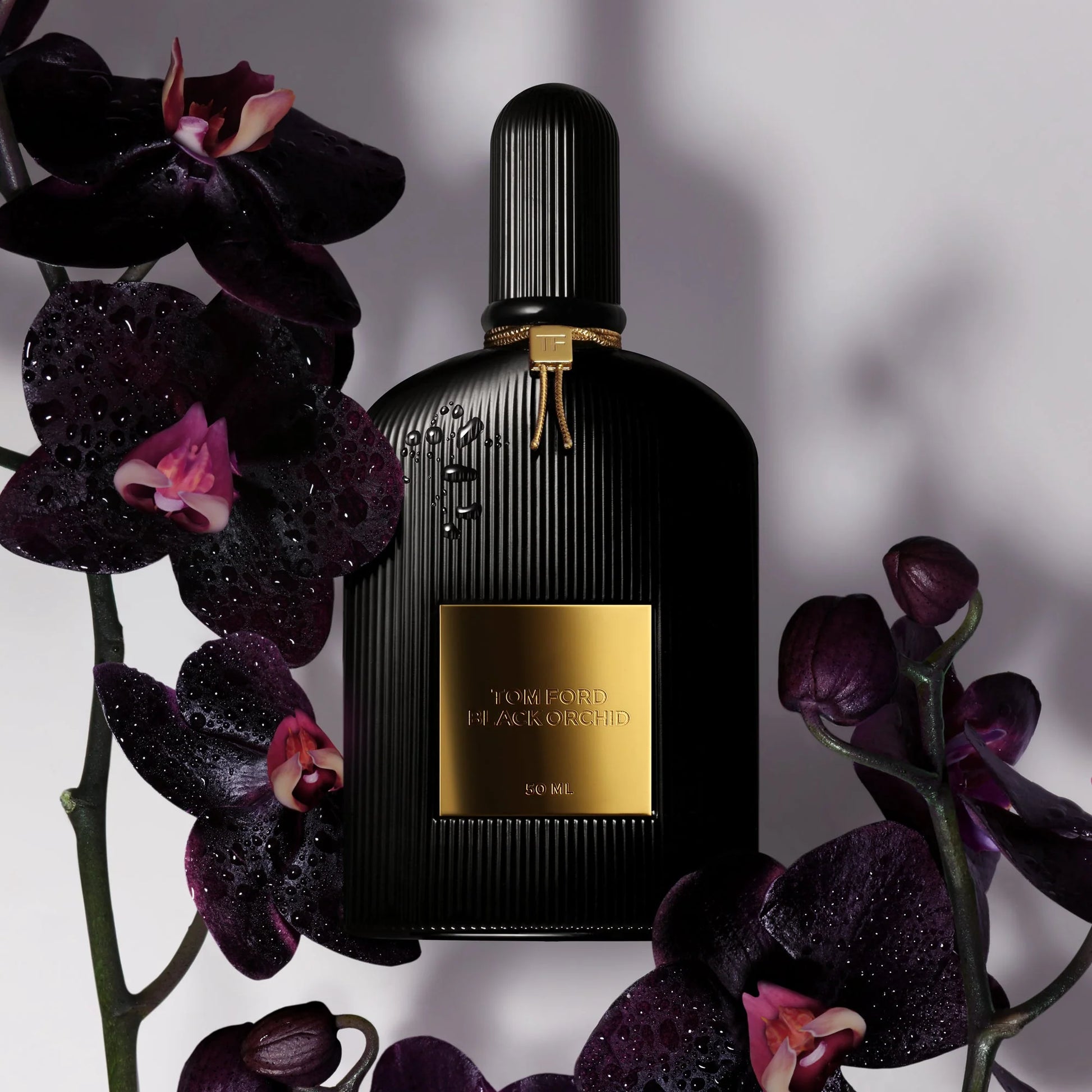 Black Orchid Eau De Parfum Women (Unboxed)